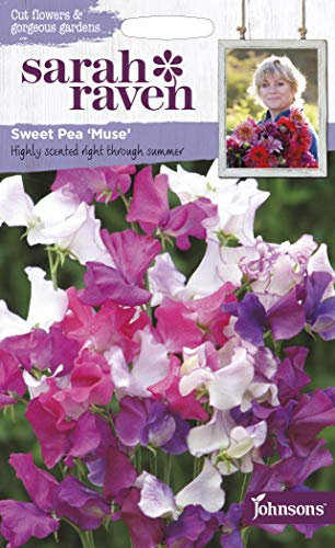 Johnsons Seed Sarah Raven's Cut Flowers -Sweet Pea Muse