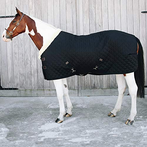 Kentucky - Showdecke für Pferd - 205