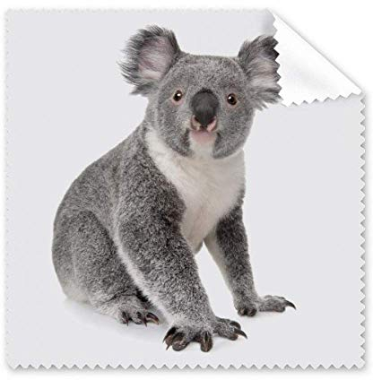 Koala Körperohren, Art-Deco, Geschenk, modisches Reinigungstuch, Handy-Display-Brillenreiniger, 5 Stück