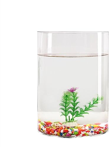 Aquarium Goldfischbecken, transparentes Glas, Aquarium, kleine ökologische Box, zylindrisches großes Schildkrötenbecken, Zubehörbecken Fischtank (Size : 003)