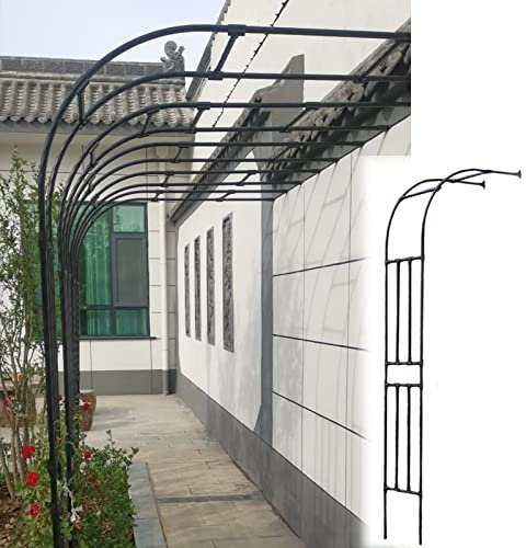 Arche de jardin noire avec arches latérales - Treillis en fer robuste pour support de plantes - 120 x 240 cm - Blanc - Pour améliorer la conception de votre jardin