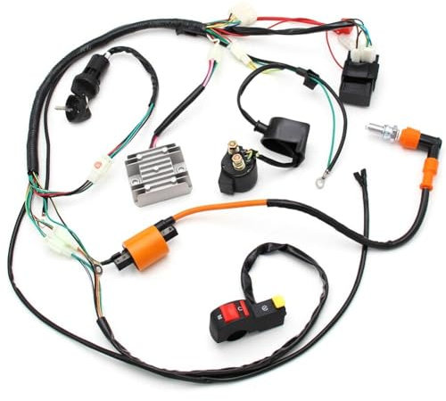DXHSLH Faisceau de câbles électriques for Moto, for ATV Quad 150 200 250 300cc, Stator CDI Bobine, Assemblage Complet, pièces de Rechange, métier à Tisser