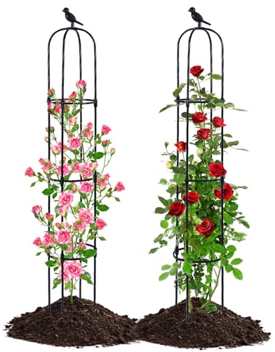 Yotoworth Obelisco da giardino, traliccio per rampicanti, con rose, antiruggine, per viti da arrampicata, cetrioli, 170 cm, nero, 2 pezzi