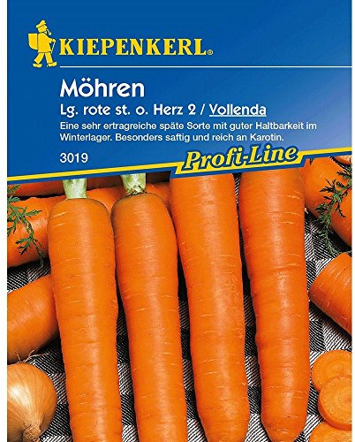 Kiepenkerl Möhren 'Vollenda',1 Portion