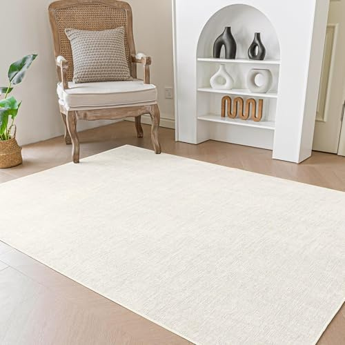 Evitany Moderne Graue Teppiche für Wohnzimmer, weiche Zottelteppiche, Teppiche für Schlafzimmer,Cream/60 x 90 cm