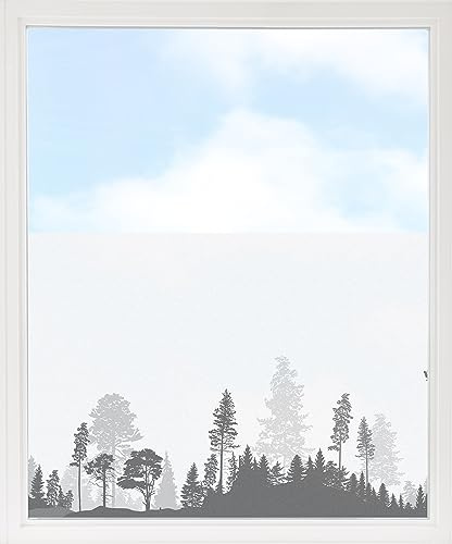 GRAZDesign Fensterfolie Blickdicht Sichtschutz, Sichtschutzfolie Fenster, Glastüren, Küche & Küchenfenster, Bad & Badfenster, Milchglasfolie mit Bäume im Wald 80x57cm