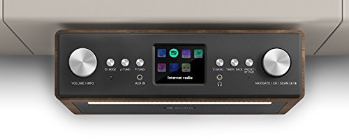 auna Connect Soundchef - Radio encastrable , Radio Cuisine , Radio numérique , Internet , Dab + , FM , 2 Enceintes 3, 10 Stations préréglées , Marron