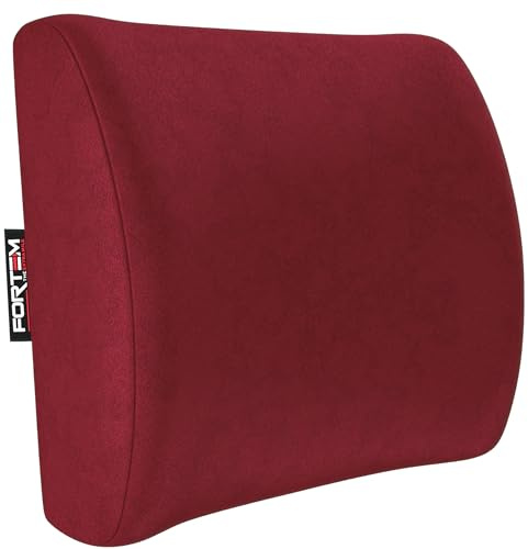 FORTEM Coussin Lombaire Chaise Bureau en Mousse à mémoire de Forme, Coussin Dos Chaisse Burreau antidérapant, Coussins lombaires ergonomiques, Soutien Dos et Confort, Housse Lavable