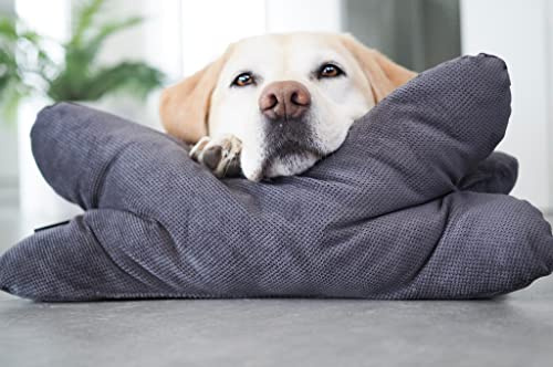 Lebon - Cruto XL - Hundekissen Kopfkissen - Zum entspannen und Spielen Made in EU