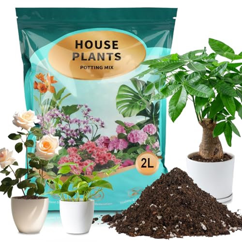 GOTVUGE Potting Soil Mix for House Plants, Organic Houseplant Soil Well Draining Dirt Ready to Use, Fit For House Plant Like Pothos, Philodendron, Monstera, African Violet (2L)