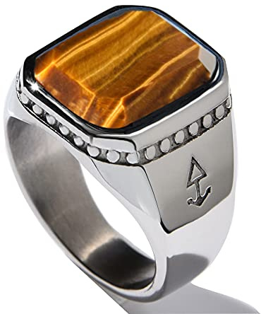 Rock and Steel Herren Ring Siegelring mit Tigerauge Stein, Edelstahl (Silber, 63 (20.1 mm))