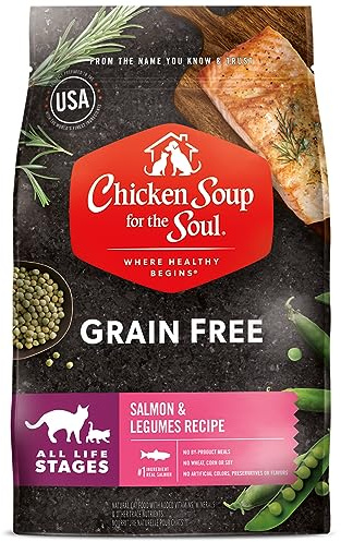 Chicken Soup for the Soul All Natural Premium Grain-Free All Life Stage Dry Cat Food, Real Meat First Ingredient, No By-Products, Supports Immune & GI Health, Salmon & Legumes, 4lb