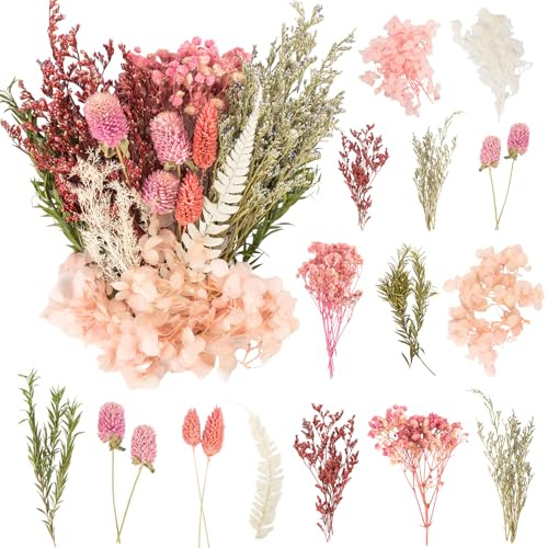 LAUMOE Getrocknete Blumen,Trockenblumen Zum Basteln Mini Trockenblumen Set für DIY Epoxidharz Scrapbook Zubehör Handgemachte Heimdekoration Hochzeit (Rosa)