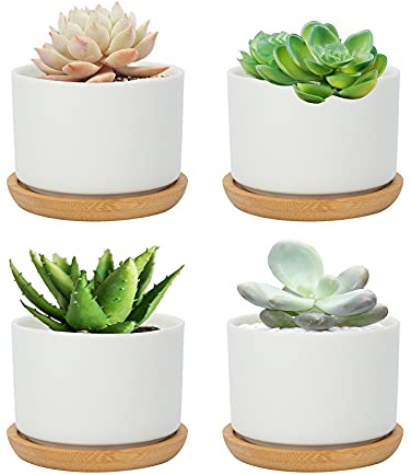FORAGIFT 7.5CM Succulent Plant Pots, Simple Design Round Small Flower Pot, White Ceramic Cactus Pots with Bamboo Tray and Drainage Hole, Great for Home Office Decor, Set of 4 (Plants Not Included)