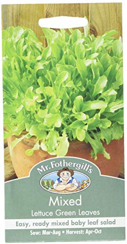 Mr Fothergill's 15659 Vegetable Seeds, Mixed Lettuce Green Leaves