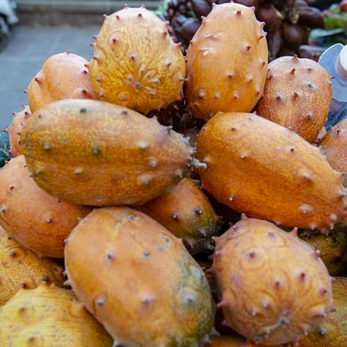 Semillas de kiwano - jardín de Semillas de pepino, Cucumis metuliferus, Los enanos son resistentes semillas de huerta verdes 300pcs