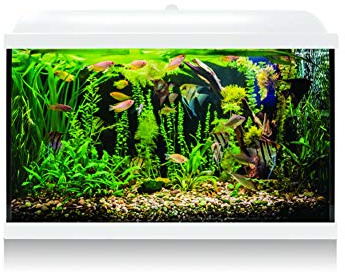 ICA KDI68B Acuario Aqua LED Pro 60L Blanco, Kit Completo con Filtro, Luz LED, Alimento para Peces, Acondicionadores, Termómetro y Termocalentador