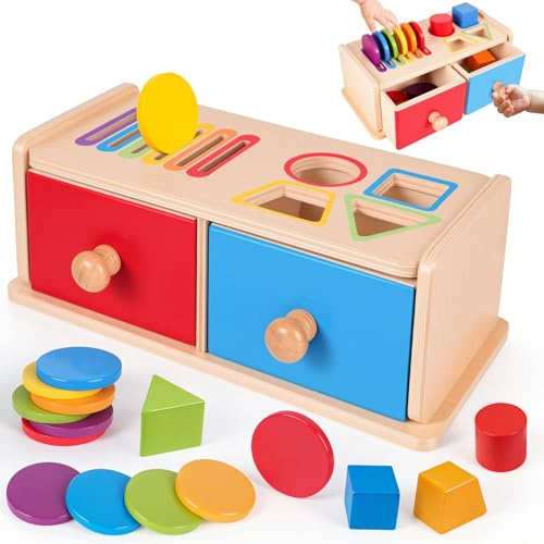 Montessori Spielzeug ab 1 2 Jahr, Spielzeug ab 1 2 Jahre Farbe Sortierspiel | Holzspielzeug ab 1 Jahr, Baby Spielzeug, Geschenk Mädchen Jungen 1 2 Jahre, Kinderspielzeug Steckspiel, Holz Motorikspielzeug