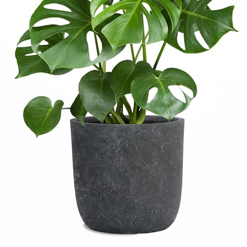 Pflanzwerk® Pflanzkübel Cup - Blumentöpfe Übertöpfe Ø34cm Lava ANTHRAZIT *Frostbeständige Blumenkübel* *UV-Schutz* *Pflanzenkübel Premiumqualität*