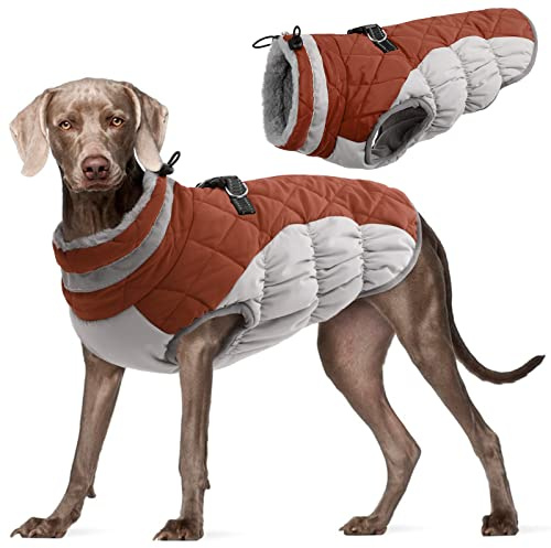 Kuoser Hundejacke Hundemantel für Mittelgroße Hunde Warm Wasserdicht, L | Wasserdicht Hunde Wintermantel mit Reißverschluss, Winddicht Hund Winterjacke Mit Geschirr Winterspaziergang Hundekleidung