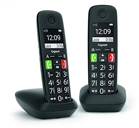 Gigaset E290 Duo [Niederländische Version]