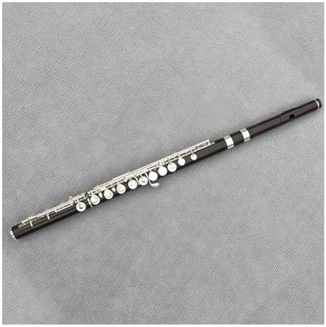 17-Loch-Flöte aus Ebenholz mit praktischem Korpus, C-Taste, versilbertes professionelles Musikinstrument mit E-Taste Flöte Für Anfänger