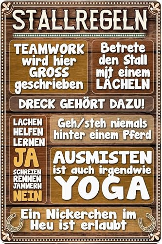 Wetterfestes 20 x 30 cm Blechschild, Wandschild, Türschild für Pferde Fans, lustiger Spruch, Stallregeln