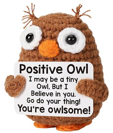 Häkeln unterstützende Puppe - Plush Positive Botschaft, inspirierende Regaleinrichtung | Handgemachte Eule Ornament mit ermutigenden Worten für Desktop-Display, Dekoration d