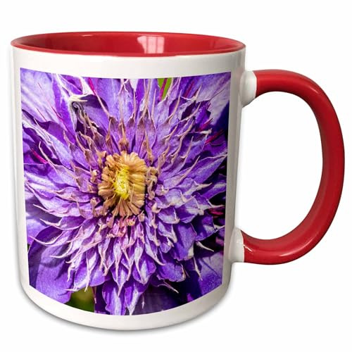 3dRose USA, Oregon. Garden in full bloom with close-up of clematis 15oz Two-Tone Red Mug