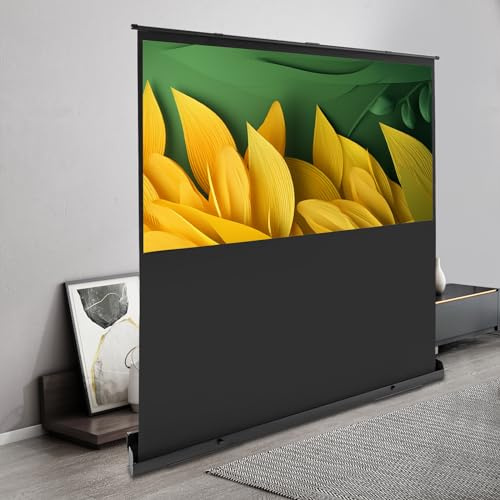 Tela per proiettore, pull-up, schermo a contrasto, portatile 4K e 8K Ultra High Definition Video, Projector Screen Roll up 16:9, per sala proiezione, soggiorno
