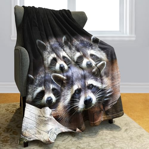 Violetpos Dick Decke Weich Wärme Gemütlich Flanell-Fleece Sofadecke Deckeldecke Nette Graue Waschbär-Tiere 150 x 200 cm