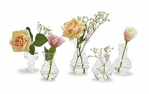 Two's Company Verre Hand-Blown Glass Bud Vases - Artisanal Decorative Vases for Flowers, Elegant Home Decor, Unique Gifts for Flower Lovers - Set of 5