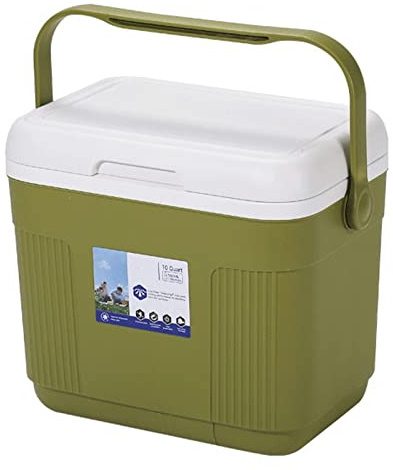 NIBHZ Glacière Et Réchaud Électriques,réfrigérateur Extérieur pour Glacière Portative pour La Maison, Camping, Camping, Pêche, Pêche,Green-5L