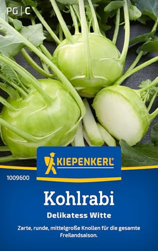 Kiepenkerl Kohlrabisamen Delikatess Witte 1009600, Gemüsesaat | Inhalt für 150 Pflanzen, Wuchshöhe 30-40 cm, aromatisch