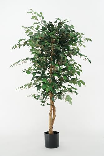 Ficus Benjamin Konstgjord Syntetisk Växt Med Flätade Stamar Och Löv Polyester Siden (Ficus-Benjamin 150 cm)