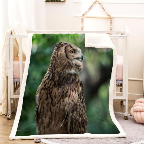 Eule Kinderdecke Wohndecke Tier Flanell Fleece Kuscheldecke Flauschig 100x130cm Weiche Warme Sherpa Decke Gemütlich Leicht Sofadecke für Mädchen Jungen Couch Bett Decke