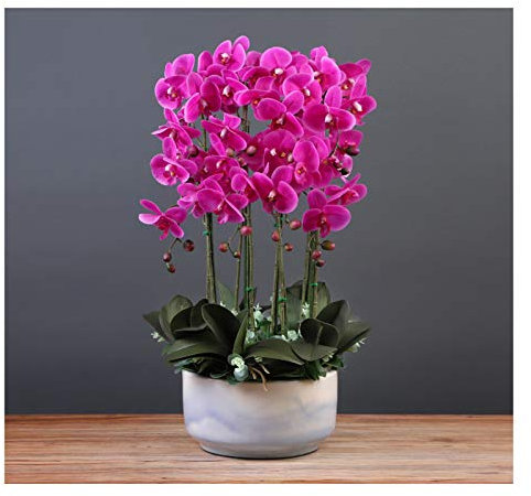 LSDFW Künstliche Blumen, Orchideen, Blumenarrangement, Höhe, Topforchideen, Dekoration, fühlen Sich echt an, Phalaenopsis-Blumen, eingetopft, für Zuhause/Büro/Wohnzimmer/WParty-Dekoration/lila Hello