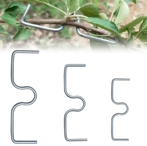 Coffee Life Plus® 30 Stück Astzieher Astspreizer für Obstbäume,M-Förmiger Äste Biegeklammern Astbieger Aststreuer,Für Schiefen Baum Garten-Bonsai,Wiederverwendbare landwirtschaftliche Werkzeuge