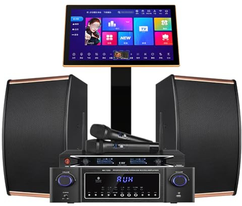 Máquina de Karaoke Profesional, Reproductor de Karaoke con micrófono inalámbrico Dual, 22 Idiomas, Pantalla táctil capacitiva de 19 Pulgadas, Reproductor de Cine en casa en línea, para niñas, niños