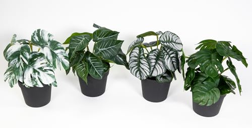 4er Pflanzen-Set 18cm im Topf GA Monstera Alocasia Philo Kunstpflanzen | ARTENVIELFALT: Set enthält Monstera (grün), Alocasia (grün-weiß) und Philodendron – ideal als moderne Dekoration.
