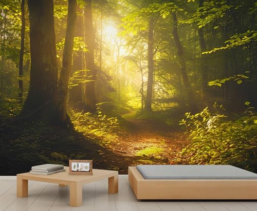 Green Forest Mural Wallpaper Dreamy Tranquil Nature Sunlight Forest Morning Scenic Boys Wallpaper Tall Tree Wallpapers Woodland Path Wall Paper for Kids Bedroom Living Room Wall Mural 150X105cm