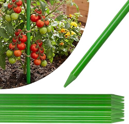 STREND PRO Pflanzstäbe 150 cm - 25 STK. | Ø 7.9 mm Fiberglas Rankstab Grün | Pflanzenstütze & Rankhilfe für Tomaten & Paprika | Pflanzenstütze groß | Bohnenstange | Glasfiberstäbe, Tomatenstäbe