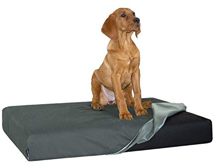 tierlando Quick-Cover Medic Matratzenschoner Carlos (Gr. XXL Bett (MATRATZE 150x100 cm), 02 Graphit)