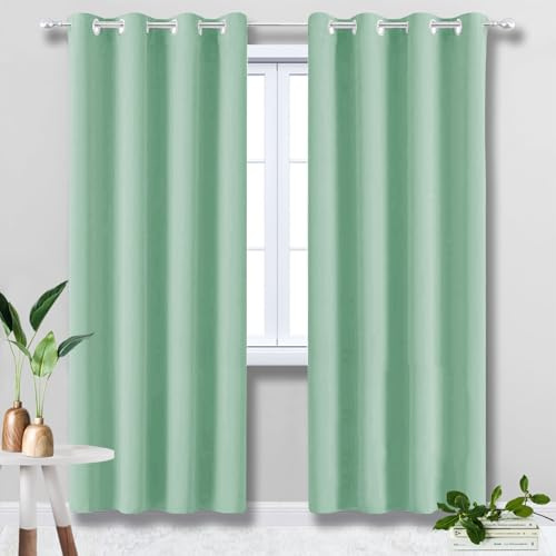 HUAXIQUE Tende Camera da Letto Moderna Isolante Freddo e Caldo con Anelli 1 Pezzi Impermeabili Tende Fonoassorbenti per Soggiorno Camerette Bambini Verde Chiaro 90x160cm