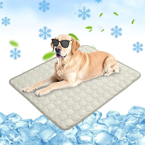 Chumix Tappeto per Cani, Tappetini Morbidi e Lavabili per Cuccia, Tappetini per Cuccia per Cani di Grossa Taglia e Tatti, Ideale per Casa, Auto, Viaggio