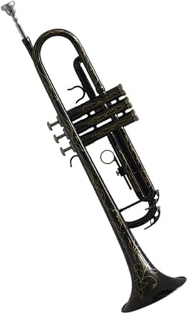 Instrumento de viento metal trompeta en si bemol adecuado para principiantes adultos
