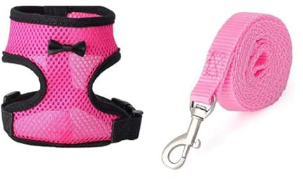 GXGM Harnais avec laisse réglable et respirant pour poules animaux domestiques canard oie promenade taille M rose