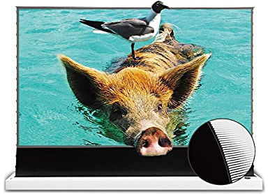 VIVIDSTORM Motorized UST Screen, Tensioned Surface, 4K/8K HDR Ready, Perfect for Cinematic Viewing and Entertainment,VWSDSTUST110H