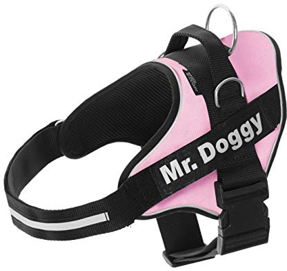 Arnés Personalizado para Perros - Reflectante - Incluye 2 Etiquetas con Nombre - Todos los Tamaños - De Calidad y Resistente (S 7,5-15KG, Rosa)