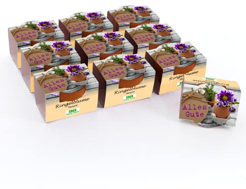 Bull & Bear 10er Set Mini Pflanzset 'Alles Gute' Ringelblume Marigold Blumen Samen, 10 Tontöpfchen mit Blumensamen und Pflanzsubstrat